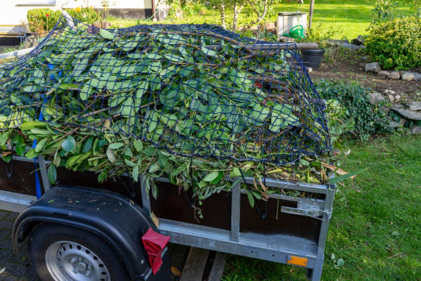 Best Shed Removal  in Rose Hill, NC